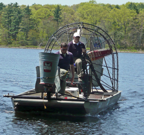 airboat