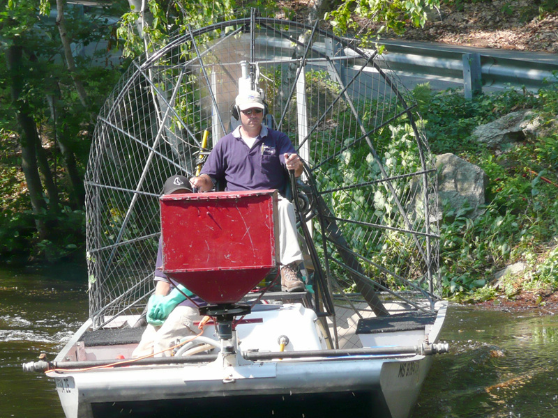 airboat