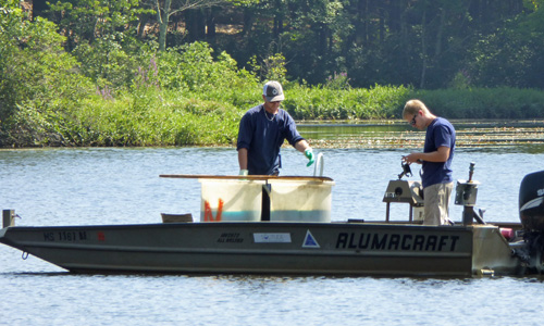 algae_treatment