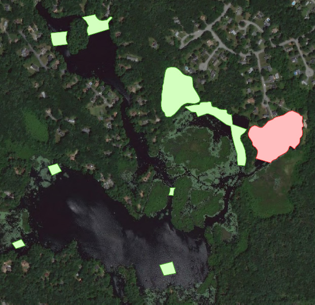 fanwort_management_areas