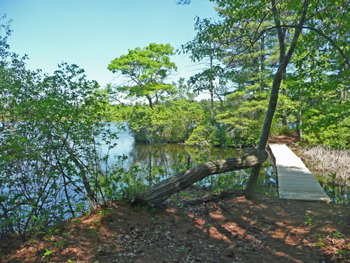 island_boardwalk